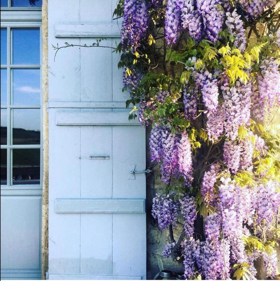 B&B La Commanderie De Lachapelle Lachapelle  エクステリア 写真